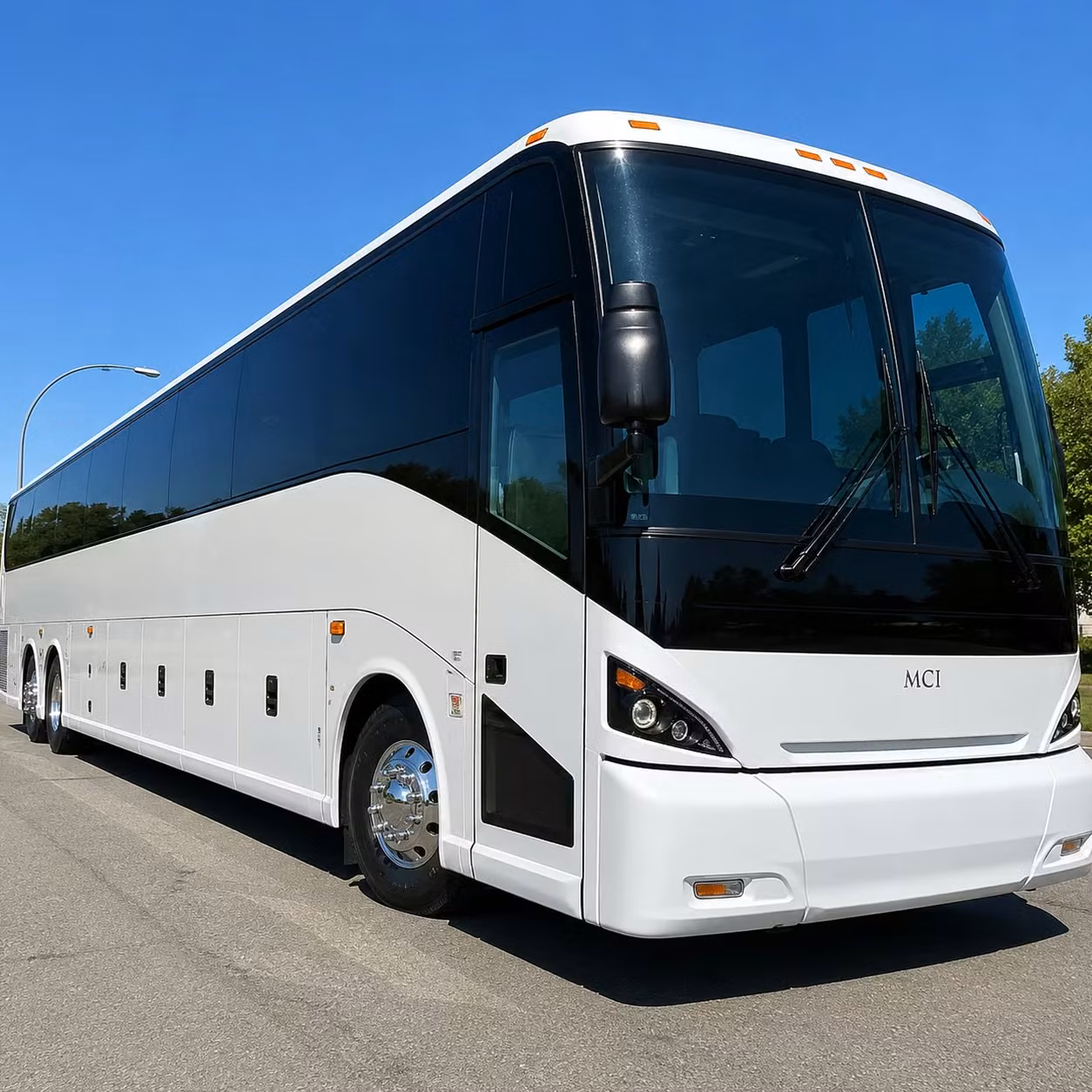 one search for your salinas group trip